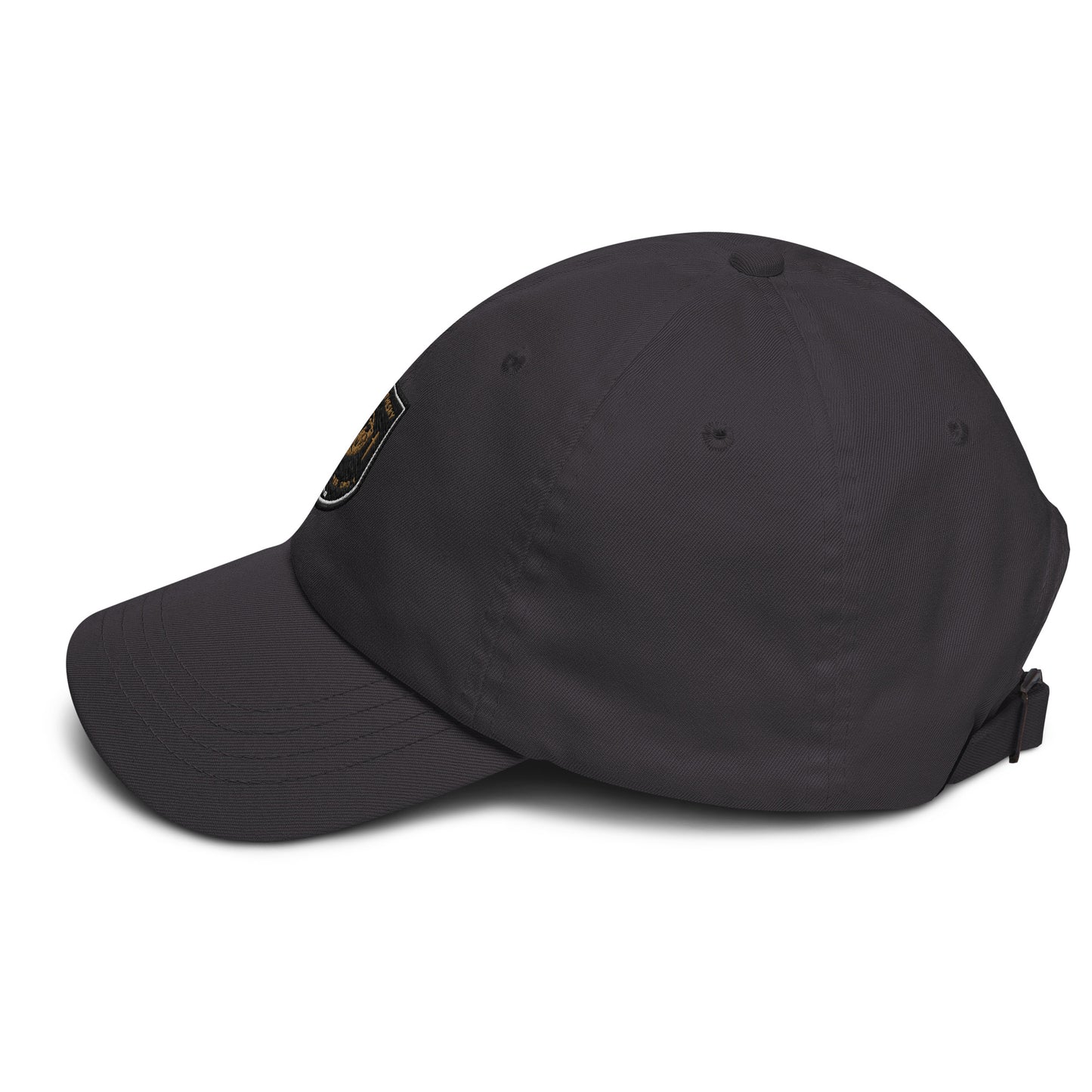 TAC FIGHTER SCHOOL CAP