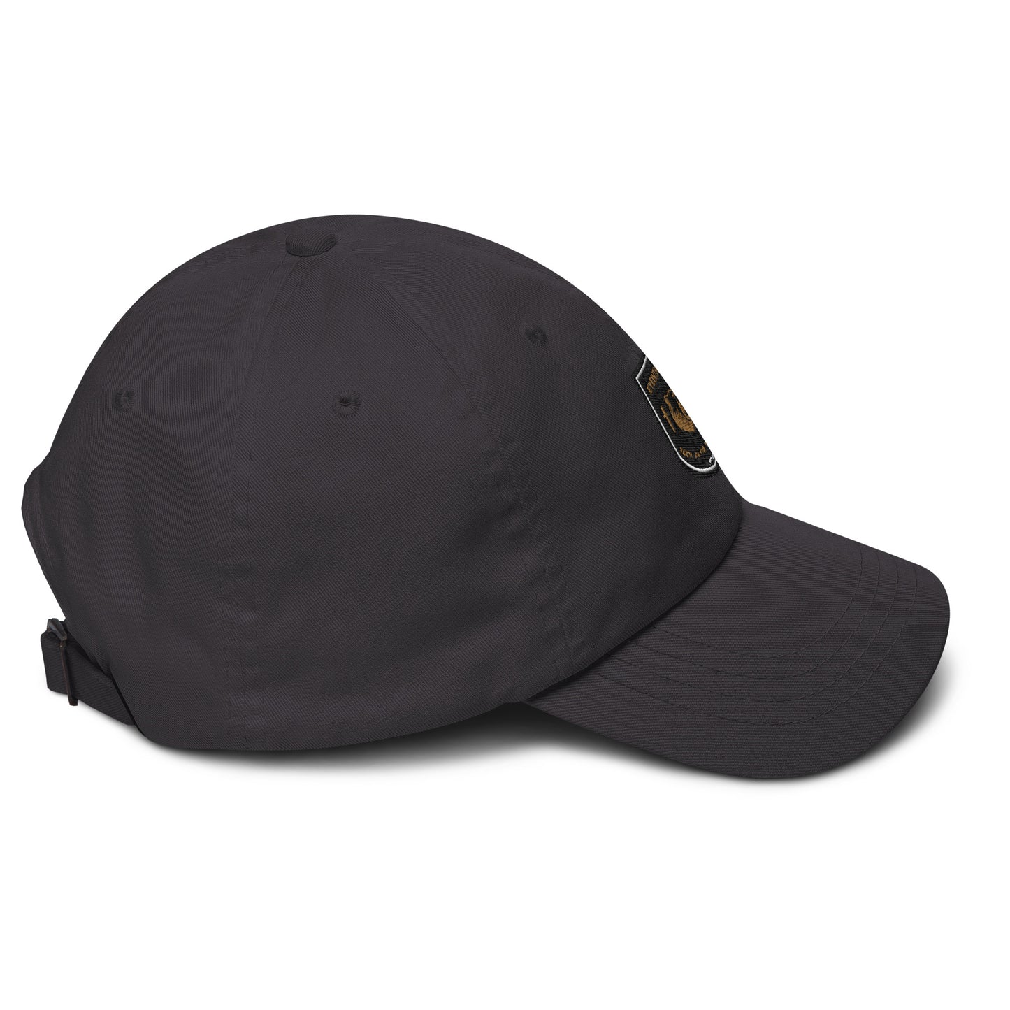 TAC FIGHTER SCHOOL CAP