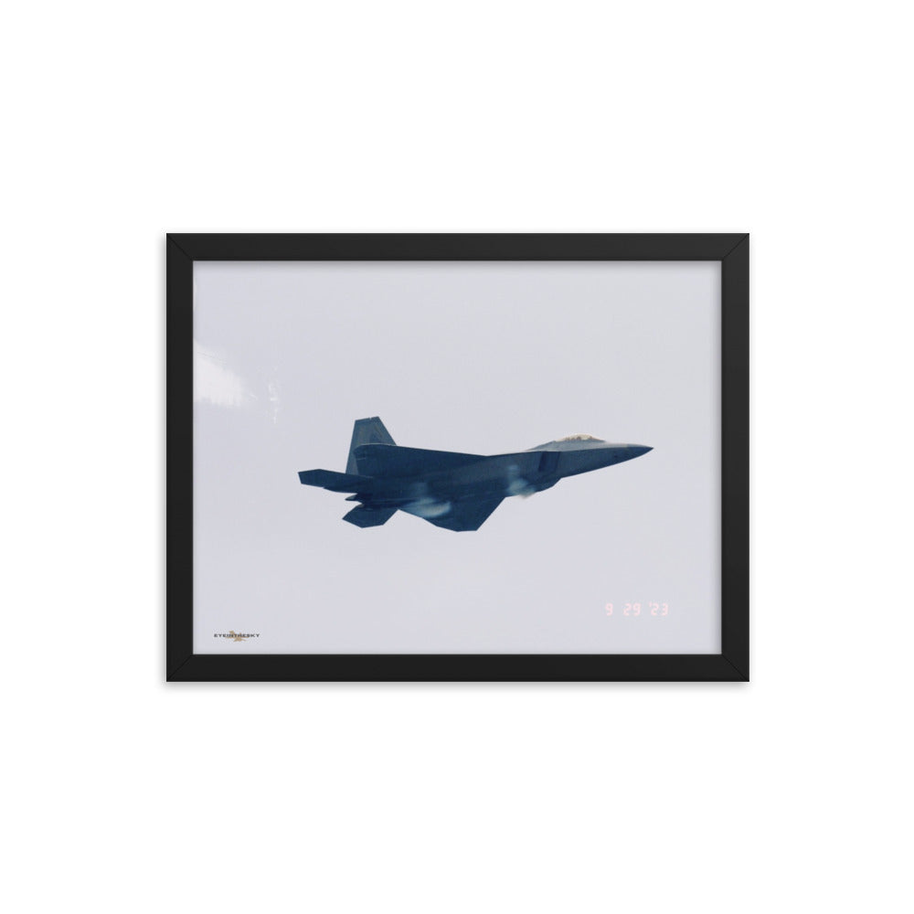 RAPTOR CONDENSES - FIGHTERS ON FILM FRAMED COLLECTION 12x16