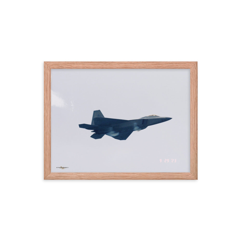 RAPTOR CONDENSES - FIGHTERS ON FILM FRAMED COLLECTION 12x16