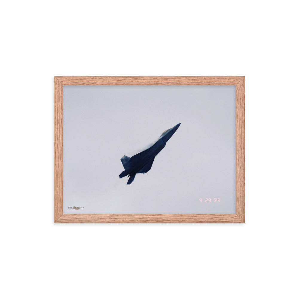 HIGH ALPHA RAPTOR- FIGHTERS ON FILM FRAMED COLLECTION 12x16