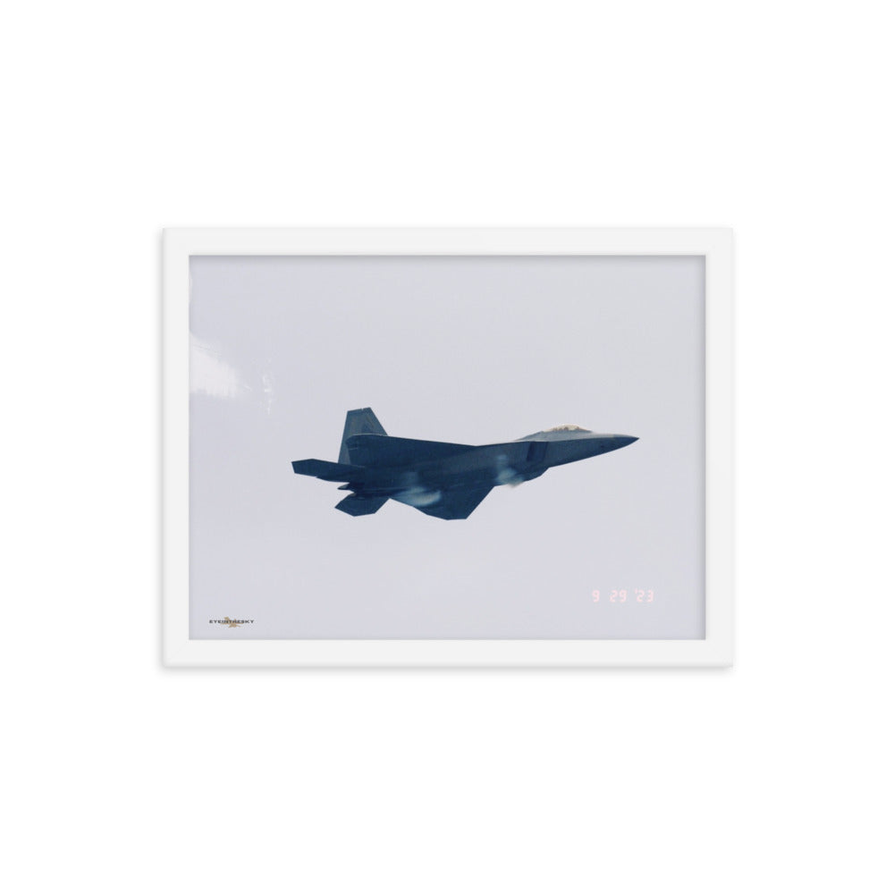 RAPTOR CONDENSES - FIGHTERS ON FILM FRAMED COLLECTION 12x16